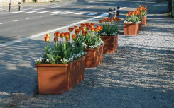 JARDINIÈRE BAC RECTANGULAIRE polyéthylène