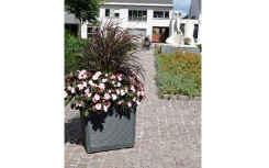 JARDINIÈRE BAC CARRÉ POLYETHYLENE