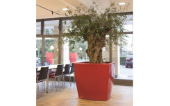 POT TREVIA CARRE EN POLYETHYLENE