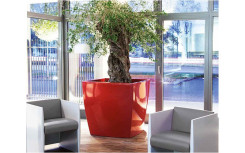 POT TREVIA CARRE EN POLYETHYLENE