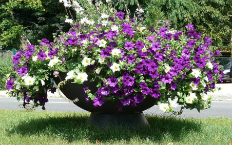 PIED POUR JARDINIERE EN PLASTIQUE VASQUE AU SOL ESPACE PUBLIC