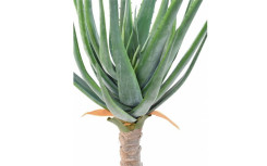 ALOE VERA ARTIFICIEL H 1250 mm