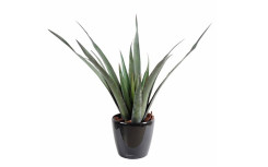 ALOE FEROX ARTIFICIELLE H 600 mm