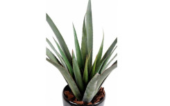 ALOE FEROX ARTIFICIELLE H 600 mm