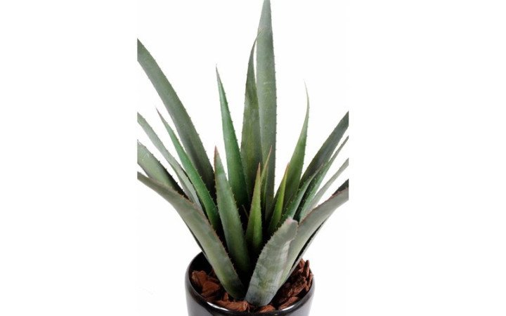 ALOE FEROX ARTIFICIELLE H 600 mm
