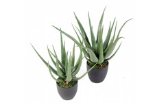 ALOE VERA ARTIFICIEL