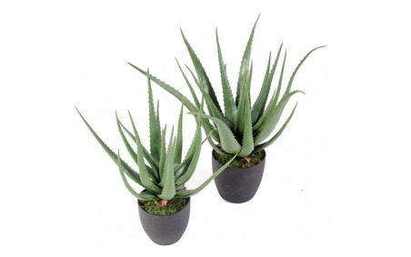ALOE VERA ARTIFICIEL