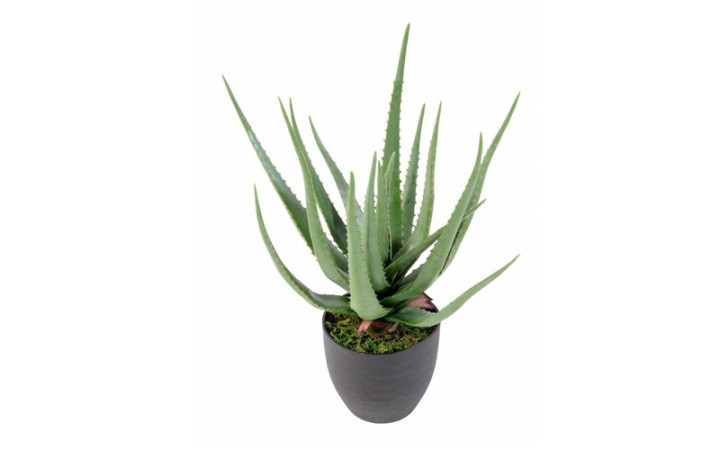 ALOE VERA ARTIFICIEL H 600 mm