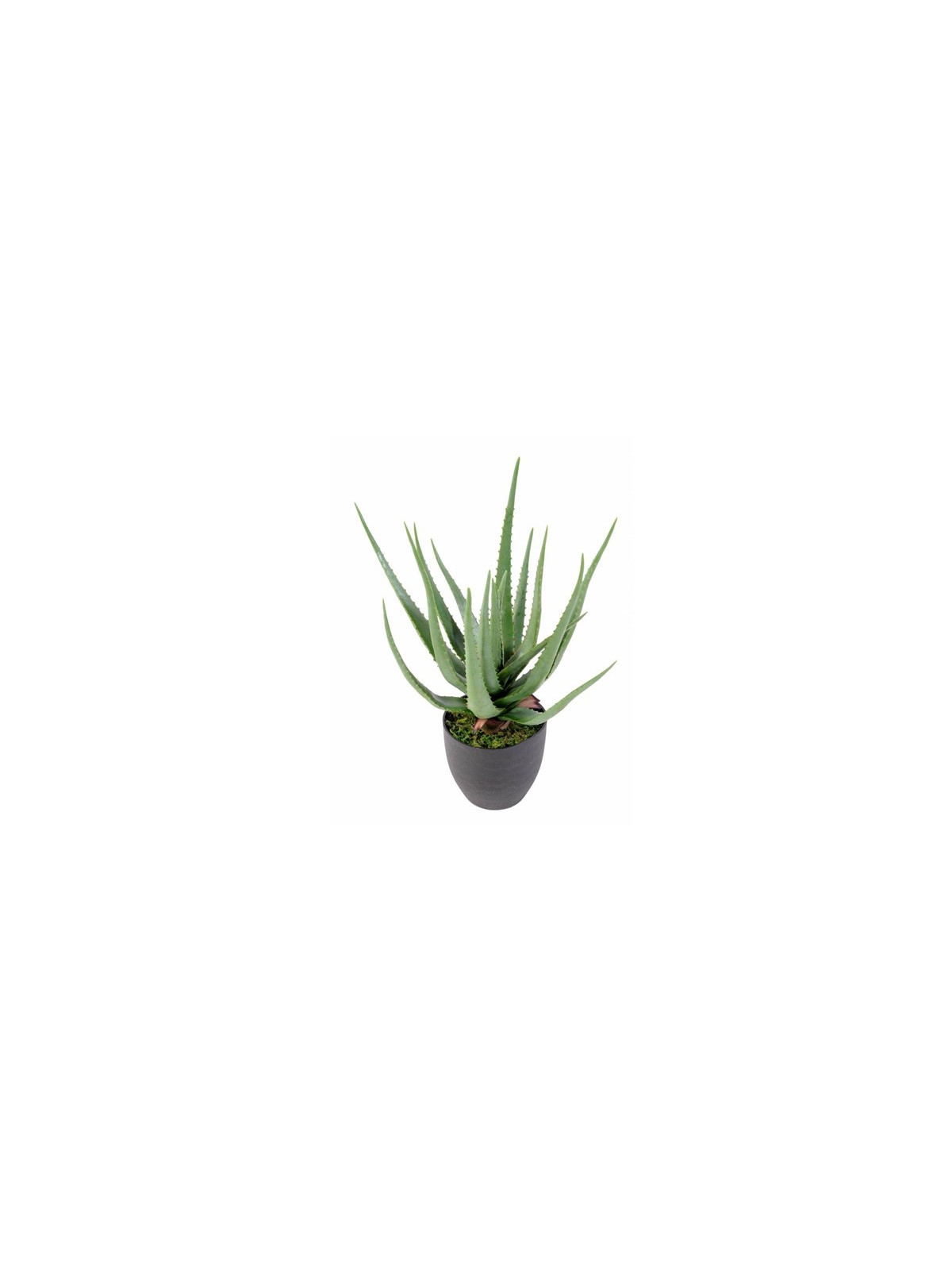 ALOE VERA ARTIFICIEL H 600 mm