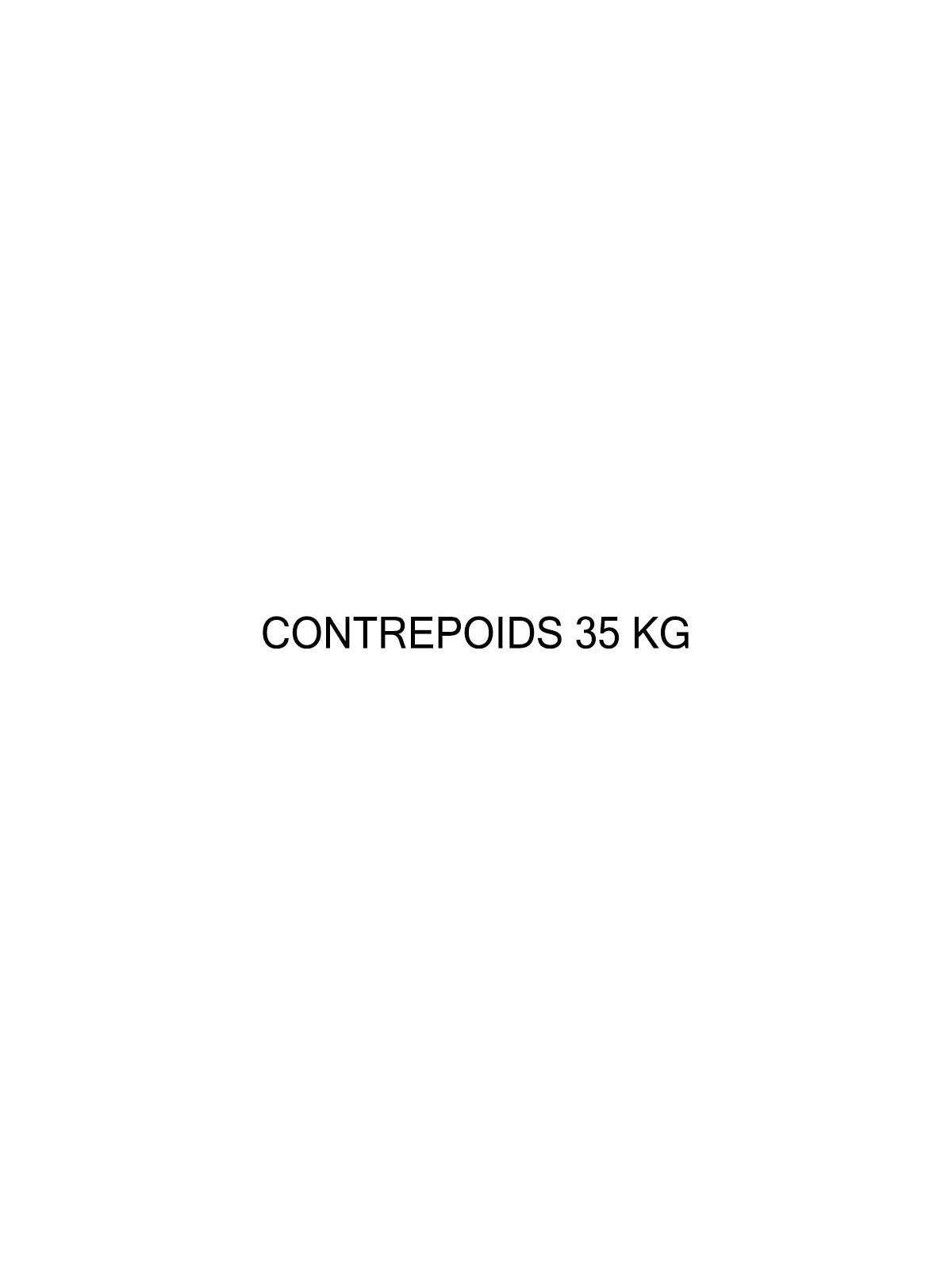 CONTREPOIDS 35 KG POUR BARRIERE LEVANTE