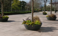 POT DEMI CONTOUR D'ARBRE