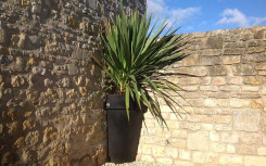 QUART DE POT ROND H. 820 mm MISE EN SITUATION