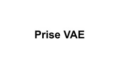 PRISE VAE