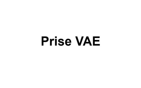 PRISE VAE