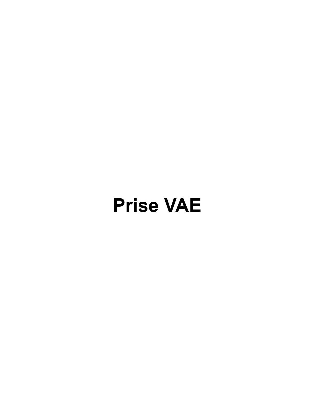 PRISE VAE