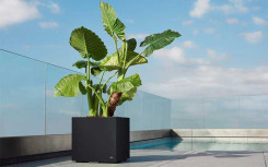 JARDINIÈRE MODERNE LEKAS CARRÉE
SYSTÈME D'IRRIGATION BREVETÉ
POT DE FLEUR CARRÉE EN POLYÉTHYLÈNE