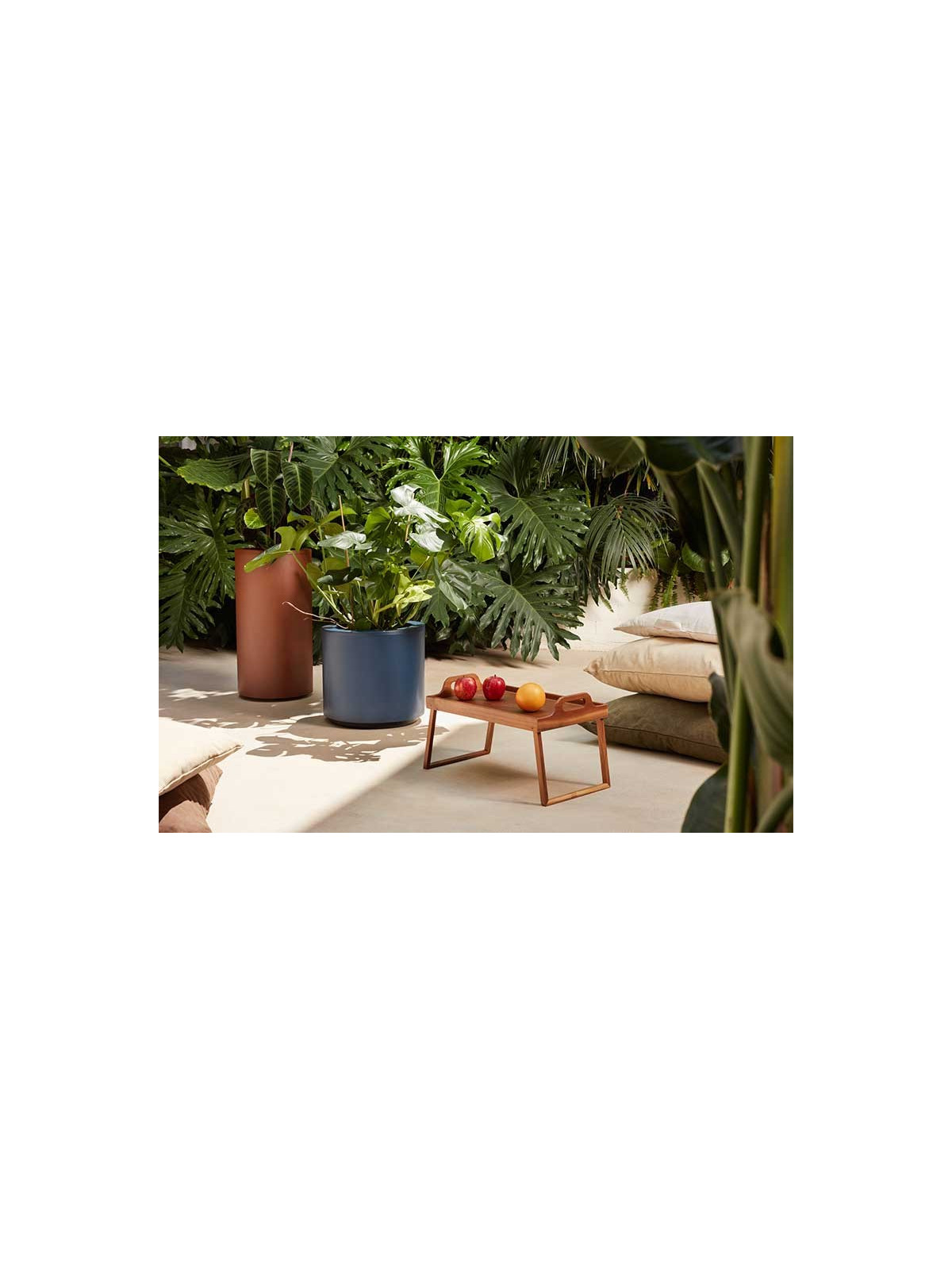 POT DE FLEUR MODERNE DESIGN 2024
JARDINIÈRE TENDANCE POUR ENTREPRISE ET PROFESSIONNEL