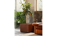 MODE ET TENDANCE 2024 JARDINIÈRE CHLORIS CARRÉE
POT DE FLEUR DESIGN INTÉRIEUR EXTÉRIEUR