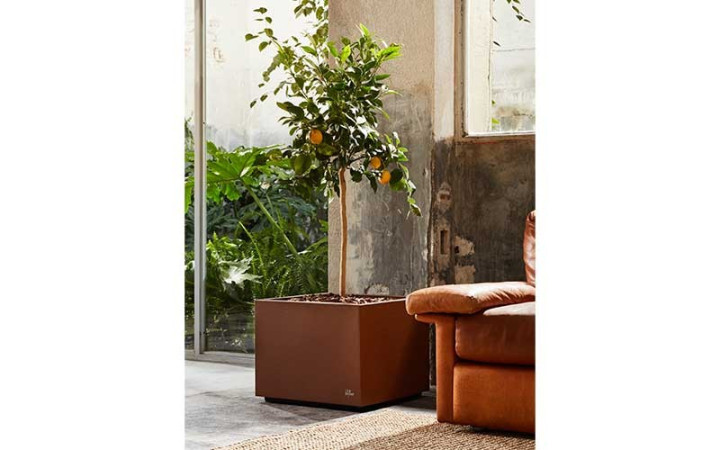 MODE ET TENDANCE 2024 JARDINIÈRE CHLORIS CARRÉE
POT DE FLEUR DESIGN INTÉRIEUR EXTÉRIEUR