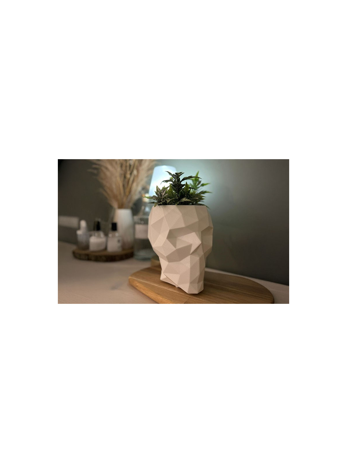 MINI POT ORIGAMI SQUELETTE 
POT DE FLEUR SKULL EN POLYETHYLENE DESIGN 
BAC A FLEUR INTERIEUR EXTERIEUR