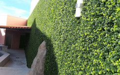 MUR VÉGÉTAL INTÉRIEUR EXTERIEUR PLANTE ARTIFICIELLE MODERNE 
DÉCORATION STYLE NATUREL POUR ESPACE MODERNE