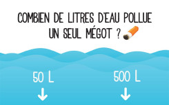 EXEMPLE CENDRIER DE VOTE-SONDAGE