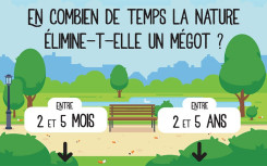 EXEMPLE CENDRIER DE VOTE-SONDAGE