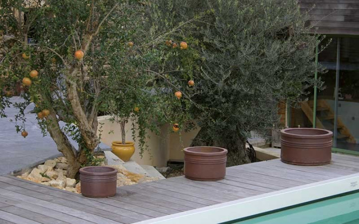 LOT DE 3 COUPES SOLYA