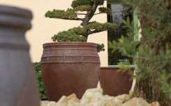 LOT DE 3 JARRES SANOA