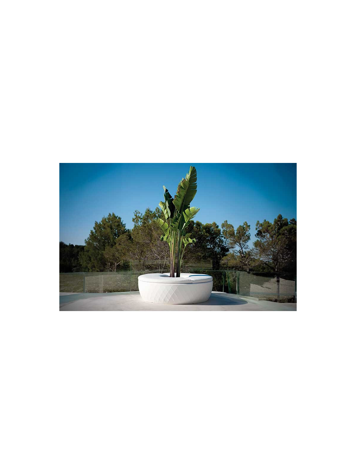 COUSSIN JARDINIÈRE BANC ISLAND
OPTION POUR BANC JARDINIÈRE DESIGN ET MODERNE ISLAND