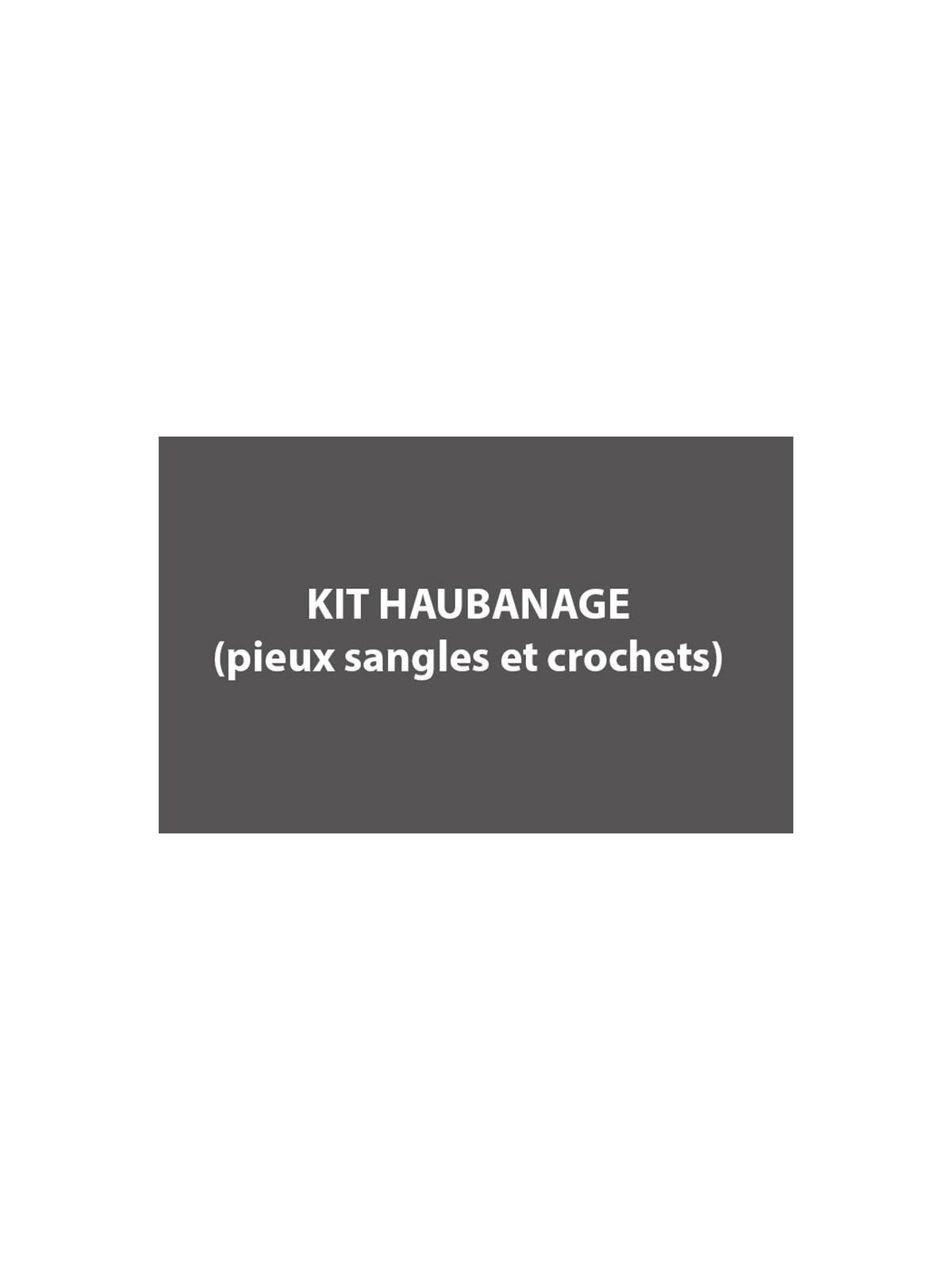 KIT D'HAUBANAGE OPTION TENTE DE PAGODE POUR RÉCEPTION D ÉVÈNEMENT PROFESSIONNEL