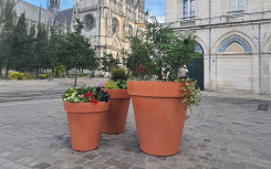 POT ROND POLYETHYLENE TC TERRE CUITE