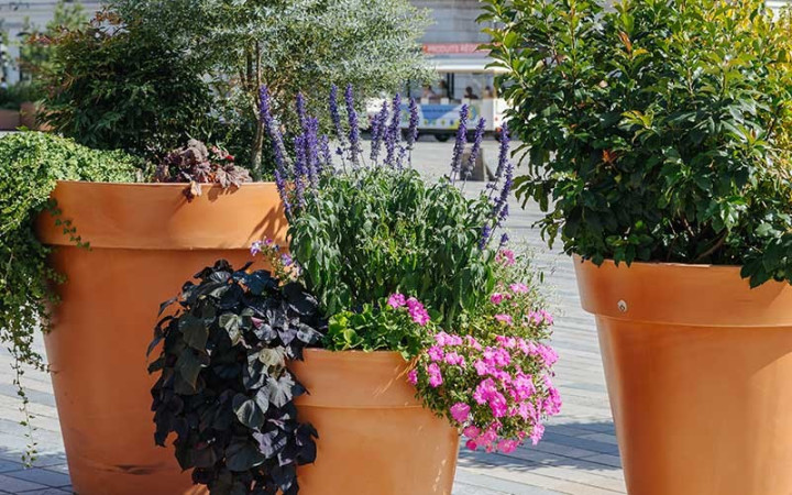 POT ROND POLYETHYLENE TC TERRE CUITE