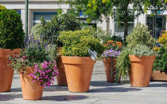 POT ROND POLYETHYLENE TC TERRE CUITE