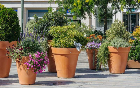 POT ROND POLYETHYLENE TC TERRE CUITE