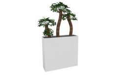 JARDINIERE EDITH BONZAI blanche