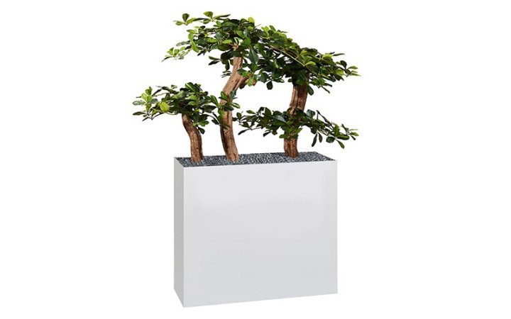 JARDINIERE EDITH BONZAI blanche