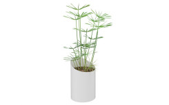 JARDINIERE MARCEL PAPYRUS BLANCHE