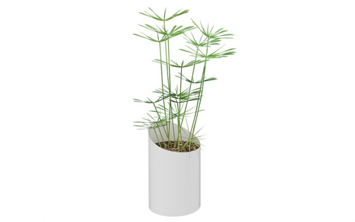 JARDINIERE MARCEL PAPYRUS BLANCHE