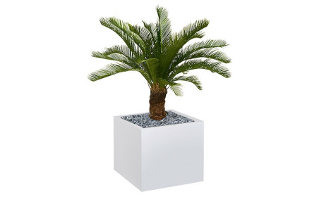 JARDINIERE CARREE CHARLIE PALMIER BLANCHE