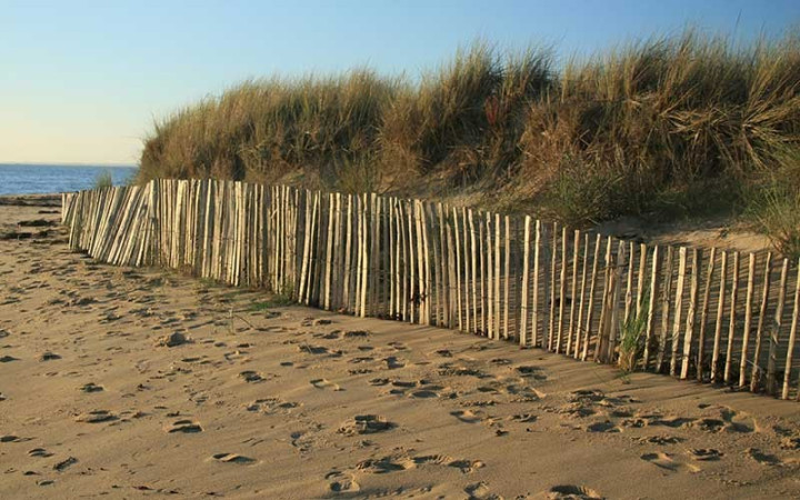 ROULEAU DE GANIVELLE BOIS 10 ML JARDIN ET ESPACE EXTÉRIEUR
CLÔTURE BOIS NATURELLE POUR PROFESSIONNEL ET COLLECTIVITÉ