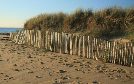 ROULEAU DE GANIVELLE BOIS 10 ML JARDIN ET ESPACE EXTÉRIEUR
CLÔTURE BOIS NATURELLE POUR PROFESSIONNEL ET COLLECTIVITÉ