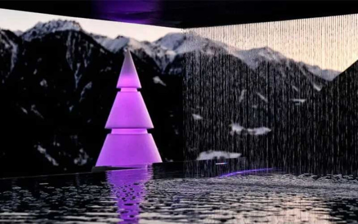 SAPIN FOREST LUMINEUX RGBW