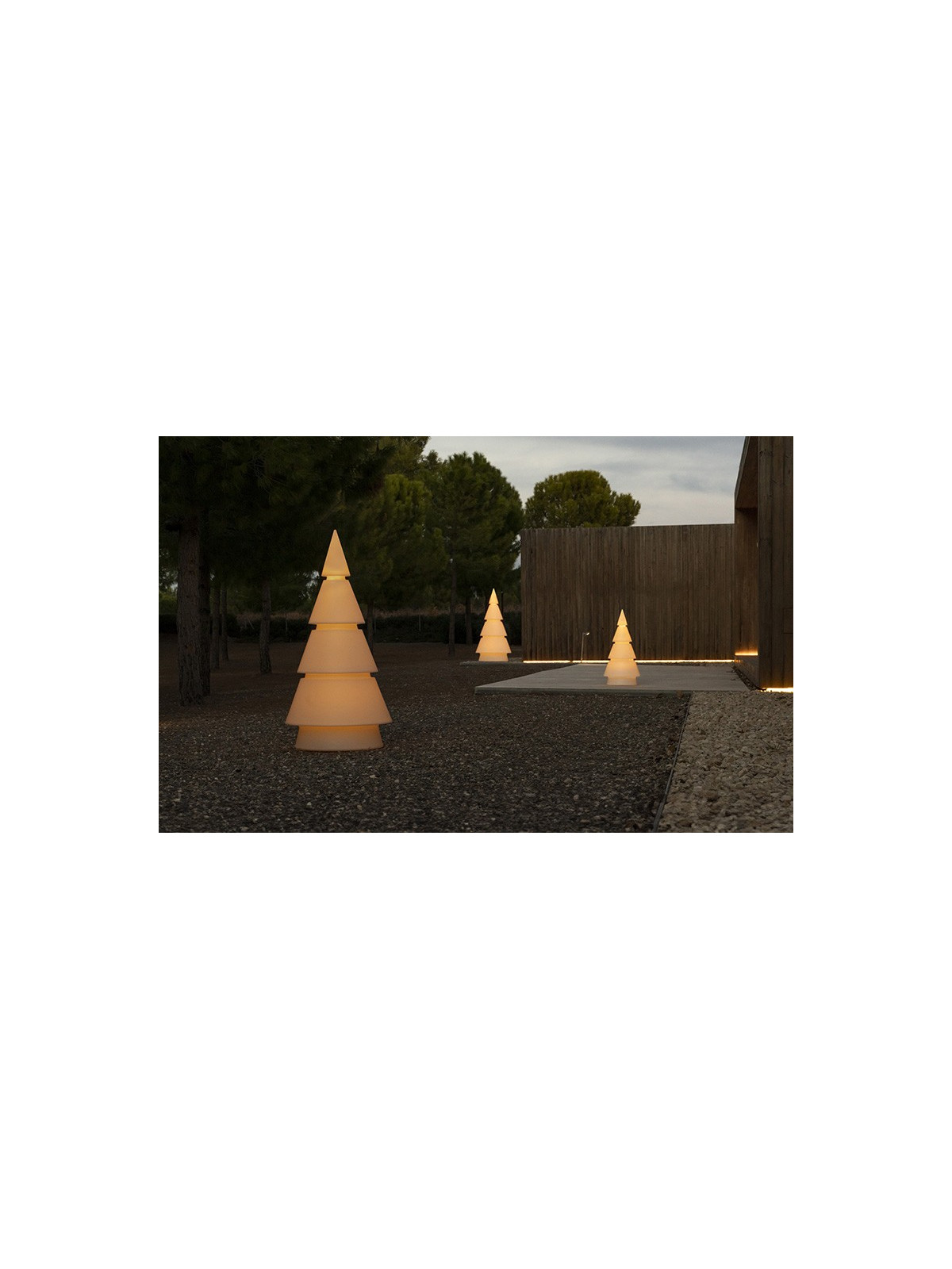 SAPIN FOREST LUMINEUX RGBW