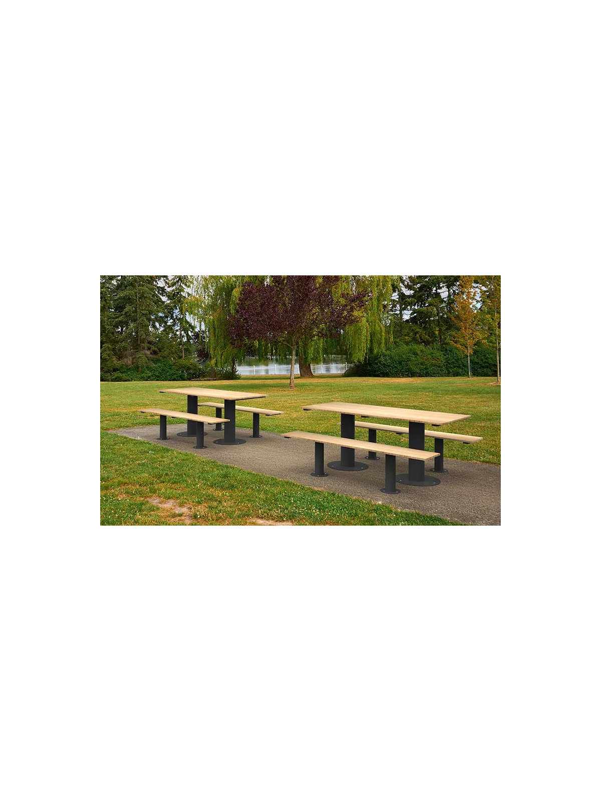 TABLE PIQUE NIQUE MARIANNE ACIER ET BOIS