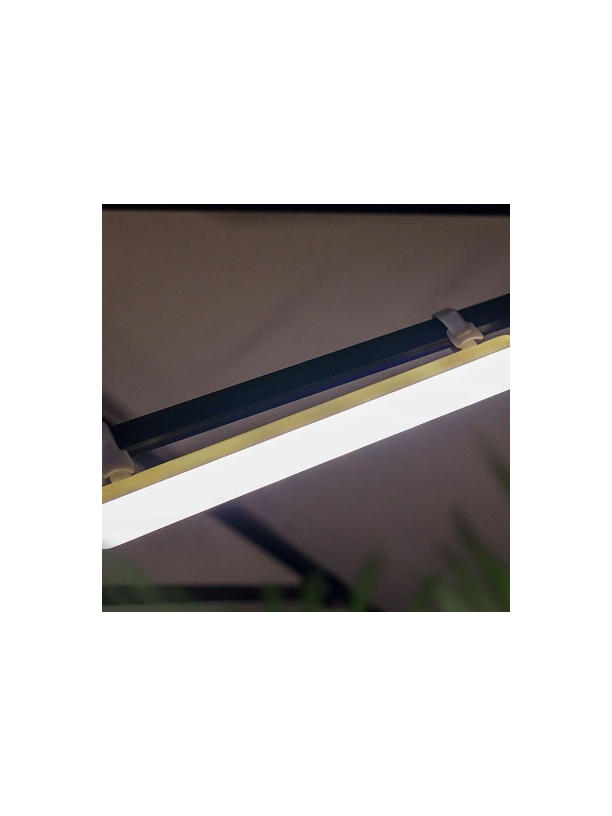 AMPOULE RECHARGEABLE PORTABLE BANANA