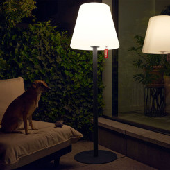 Lampe géante EDISON  Anthracite