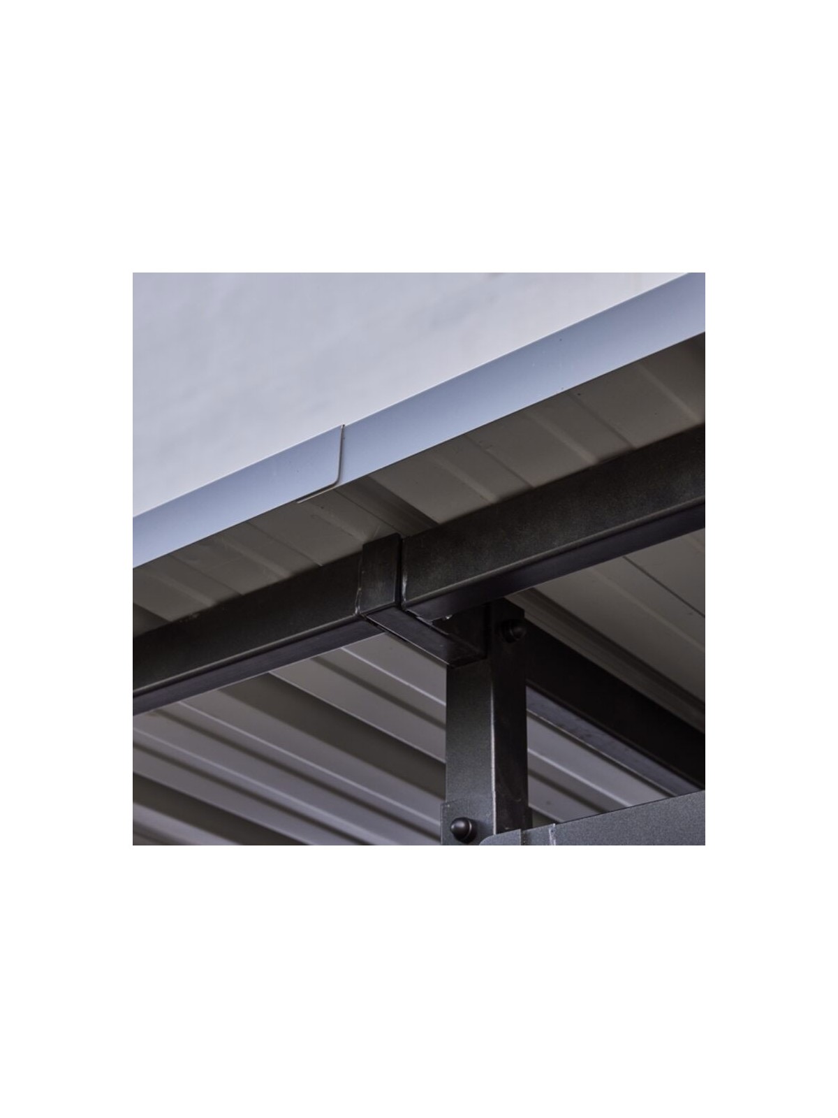 ABRI CYCLES STANLEY 3 X 5 M BARDAGE BAMBOU