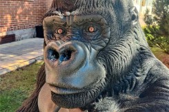 Escultura Gorila – Sculpture urbaine recyclée | Neusus Urban