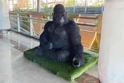 Escultura Gorila – Sculpture urbaine recyclée | Neusus Urban
